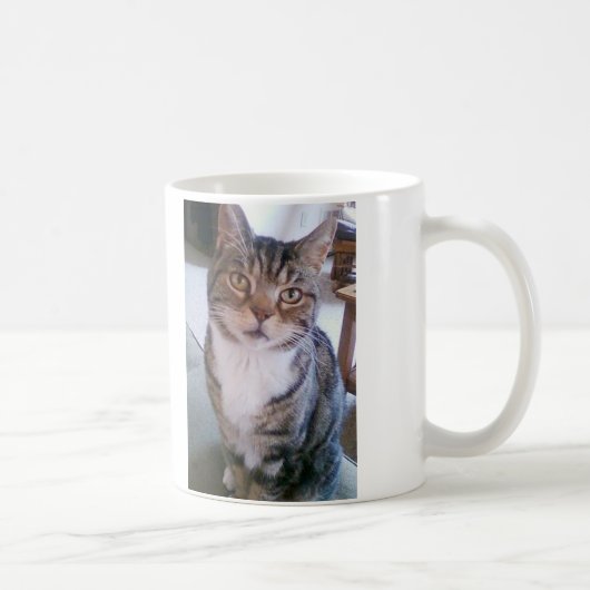 Katzen-Tasse Kaffeetasse (Rechts)