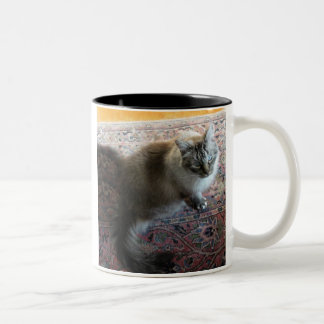 Katzen-Tasse mit Vers… im liebevollen Auge einer Zweifarbige Tasse