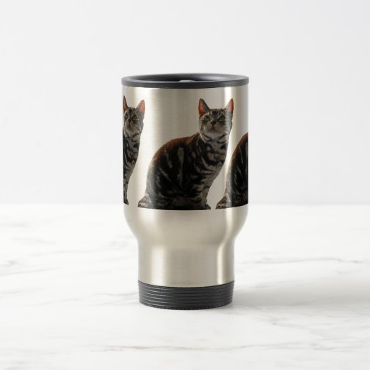 Katzen-Tasse Reisebecher (Mittel)
