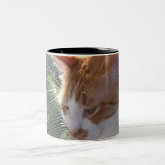 Katzen-Tasse Zweifarbige Tasse