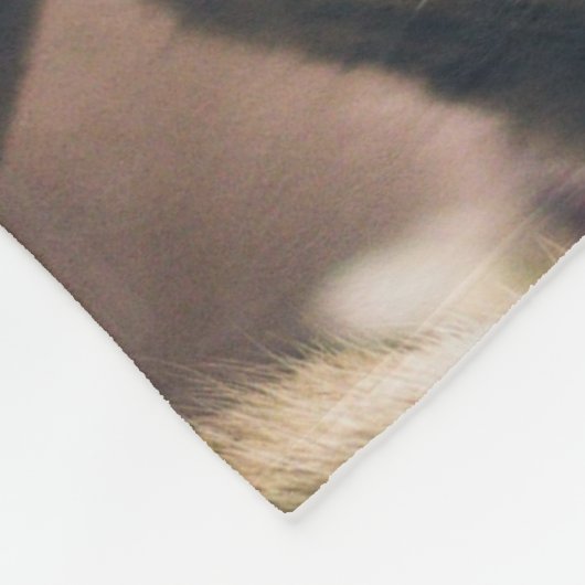 Katzen-Tatze Hoch-Fünf Fleecedecke (Ecke)