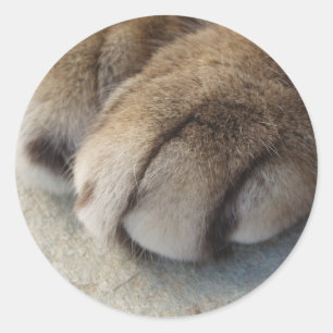 Katzen-Tatzen-Aufkleber Runder Aufkleber
