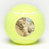 Katzen Tennisbälle (Rückseite)