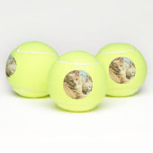 Katzen Tennisbälle (Multi)