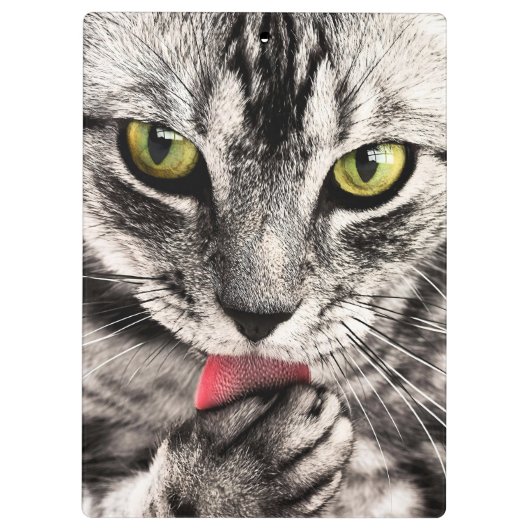 Katzen Tierportrait Klemmbrett (Rückseite)