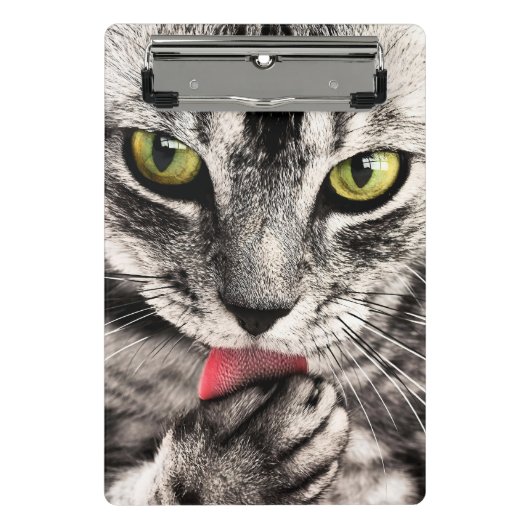 Katzen Tierportrait Mini Klemmbrett (Vorderseite)