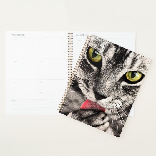 Katzen Tierportrait Planer (Anzeige)