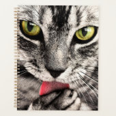 Katzen Tierportrait Planer (Vorderseite)