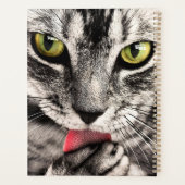 Katzen Tierportrait Planer (Rückseite)