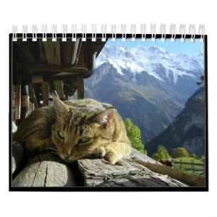 Katzen tragen 2012 ein kalender