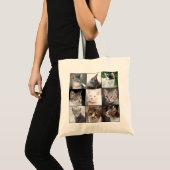 KATZEN TRAGETASCHE (Vorderseite (Produkt))