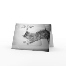 Katzen trinken aus einem rosa Faucet Retro