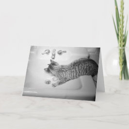 Katzen trinken aus einem rosa Faucet Retro Feiertagskarte