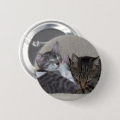 Katzen-Trio-Knopf Button (Vorne & Hinten)