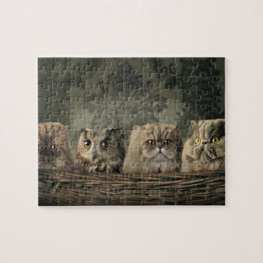 Katzen u. Eulen-Puzzlespiel Puzzle (Horizontal)