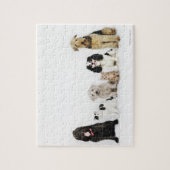 Katzen u. Hunde Puzzle (Vertikal)