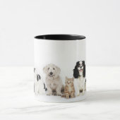 Katzen u. Hunde Tasse (Zentrum)