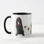 Katzen u. Hunde Tasse (Links)