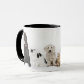 Katzen u. Hunde Tasse (Vorderseite Links)