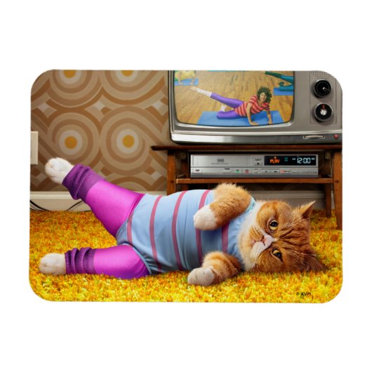 Katzen-Übung Magnet (Horizontal)