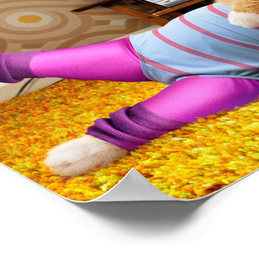 Katzen-Übung Poster (Ecke)