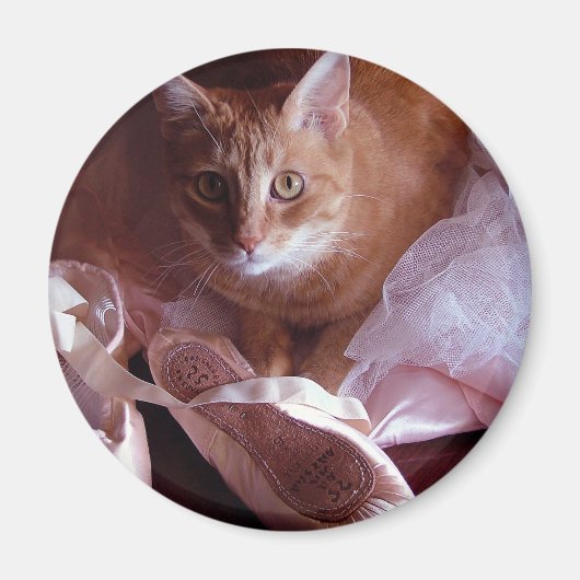 Katzen- und Ballett-Hausschuhe Magnet (Vorne)