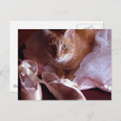 Katzen- und Ballett-Slippers Postkarte (Vorne/Hinten)