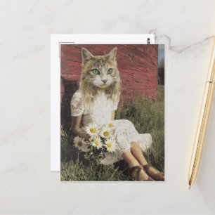 Katzen und Blume Postkarte