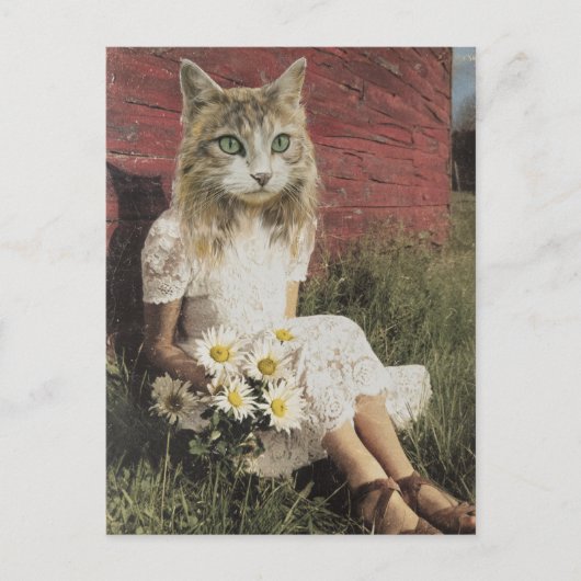 Katzen und Blume Postkarte (Vorderseite)