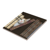 Katzen und Bücher Fliese (Seite)