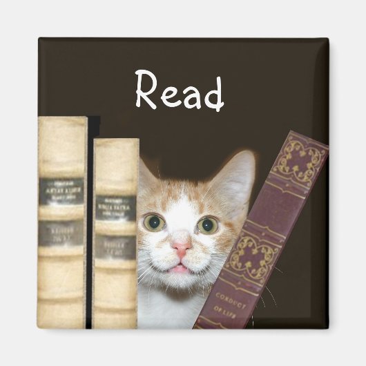 Katzen und Bücher Magnet (Vorne)
