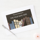 Katzen und Bücher Rechteckiger Aufkleber (Umschlag)