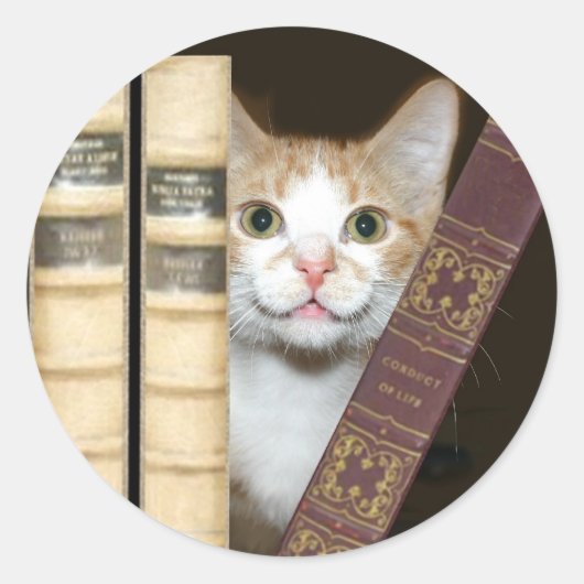 Katzen und Bücher Runder Aufkleber (Vorderseite)