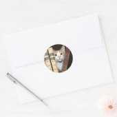 Katzen und Bücher Runder Aufkleber (Umschlag)