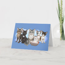Katzen und Crew Grußkarte 5" x 7"