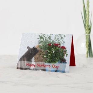 Katzen-und der Rosen-glücklicher Mutter Tag! Karte