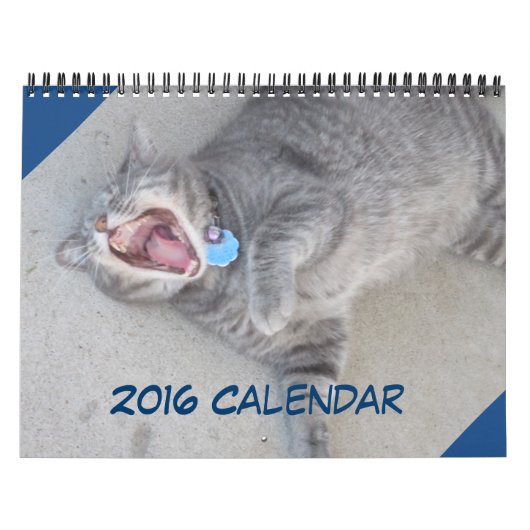 Katzen- und Dogenkalender 2016 Kalender (Titelbild)