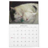 Katzen- und Dogenkalender 2016 Kalender (Mär 2027)