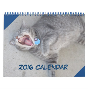 Katzen- und Dogenkalender 2016 Kalender