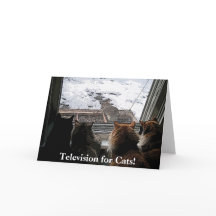 Katzen und Eichhörnchen