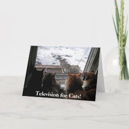Katzen und Eichhörnchen Karte