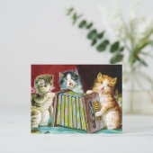 "Katzen und ein Akkordeon" Postkarte (Stehend Vorderseite)