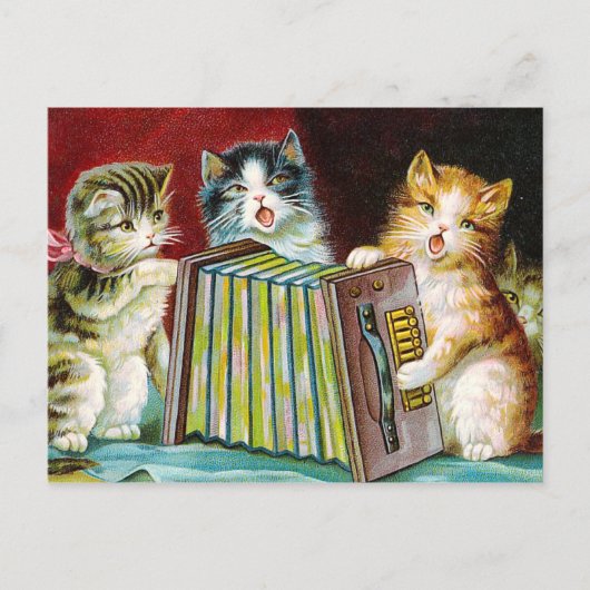 "Katzen und ein Akkordeon" Postkarte (Vorderseite)