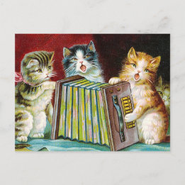 "Katzen und eine Squeezebox" Postkarte