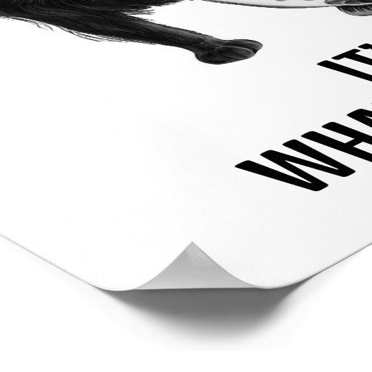 Katzen und Fische Poster (Ecke)