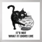 Katzen und Fische Poster (Vorne)