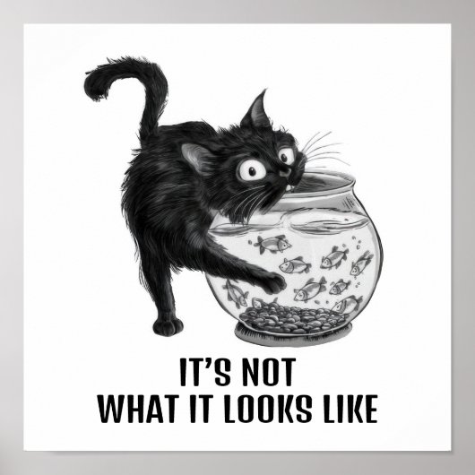 Katzen und Fische Poster (Vorne)