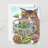 Katzen und Frosch Postkarte (Vorne/Hinten)