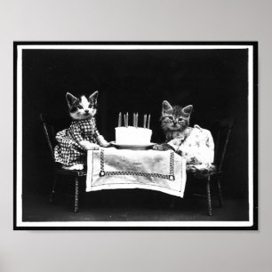 Katzen und Geburtstagskuchen Antikes Foto Poster
