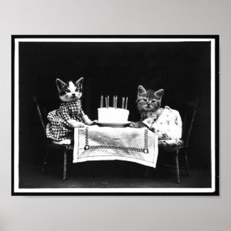 Katzen und Geburtstagskuchen Antikes Foto Poster